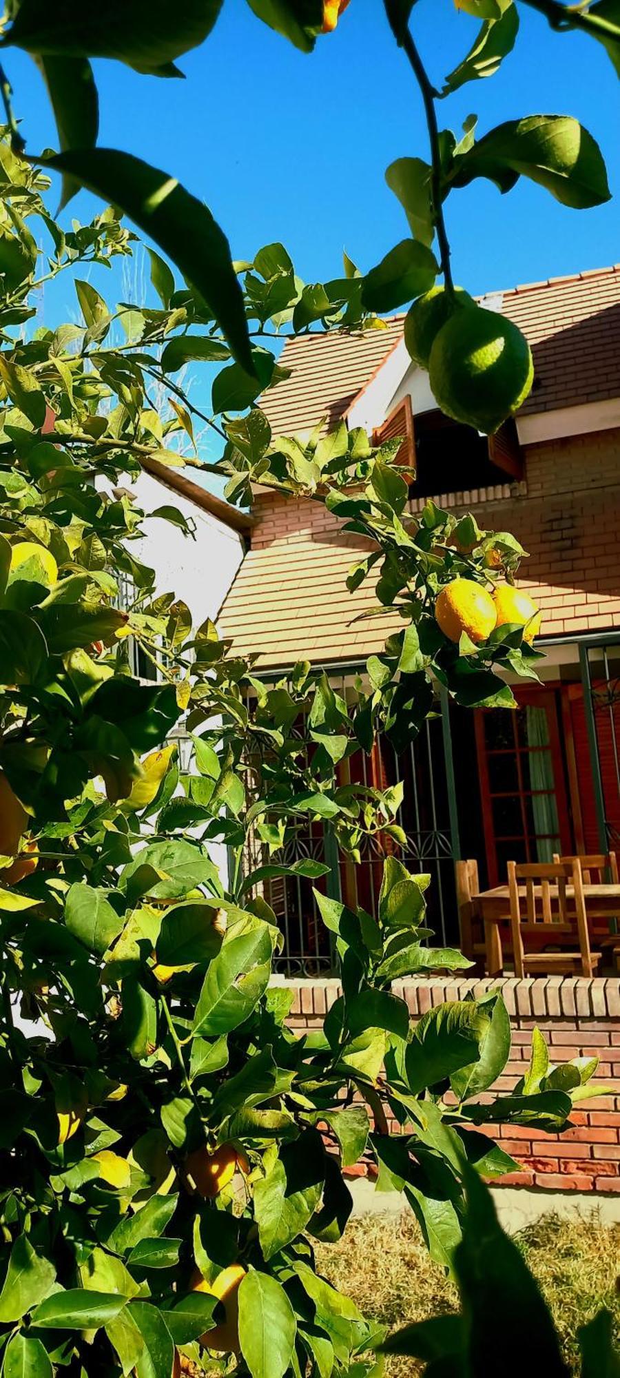 Casa Bravo Bed & Breakfast Mendoza Exterior foto
